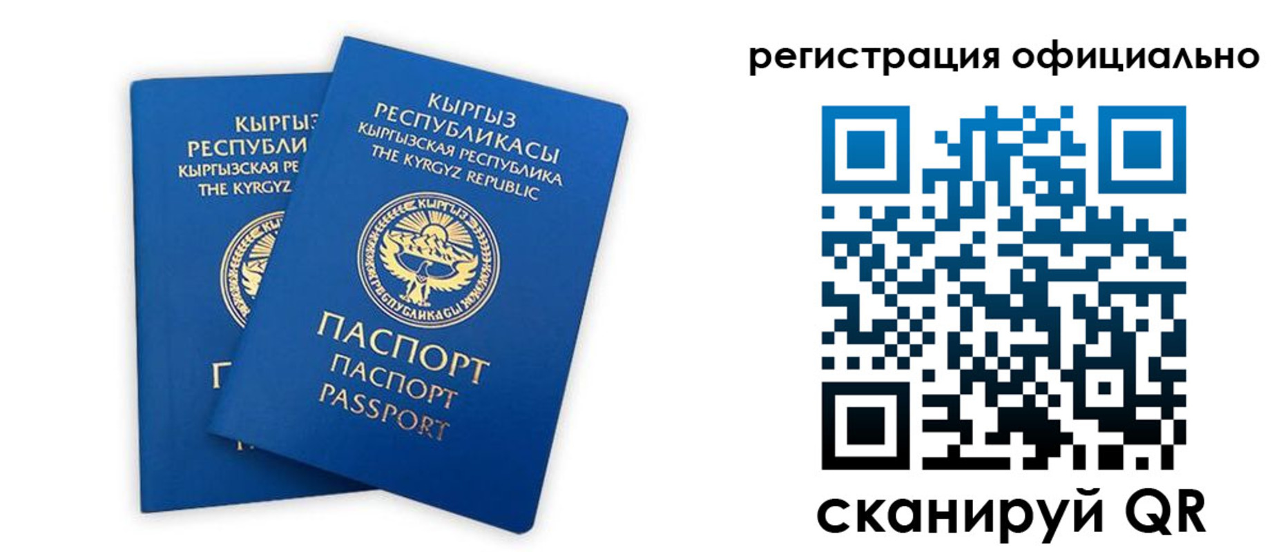 прописка поиск в Щучье